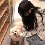 BB贝博ballbet登录入口截图